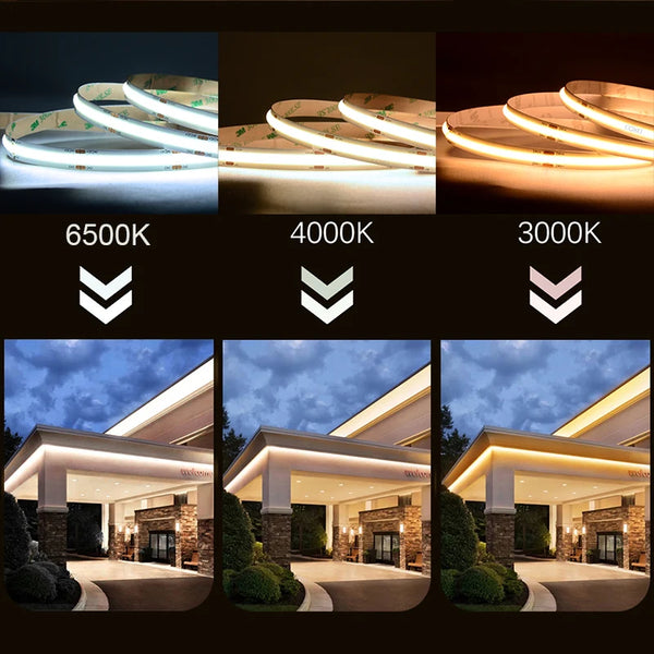 ProFlex COB LED Strip